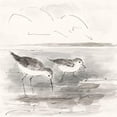 thumbnail image 3 of Swatland, Sally 15x15 Black Modern Framed Museum Art Print Titled - Sand Piper I, 3 of 5