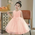 thumbnail image 3 of KAWELL Robe de Fête pour Filles Broderie Sans Manches Arc-en-Ciel Tulle Princesse Dentelle Robe de Bal, 3 of 3