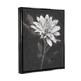 thumbnail image 3 of Stupell Industries Blooming Dahlia Flower Black Background Painting Jet Black Floating Framed Canvas Print Wall Art, Design by Nina Blue, 3 of 6