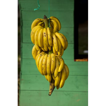 Bananas at a Fruit Stand in Dominican Republic Print Wall Art By Paul