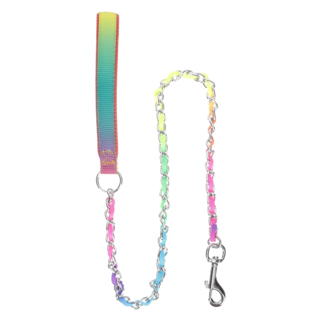 HEALEEP Sturdy Professional Dog Chain Leash Wide Handle Comfortable Skin Friendly Assorted Color Outdoor
