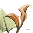thumbnail image 2 of Koetsier, Albert 26x26 Gold Ornate Wood Framed with Double Matting Museum Art Print Titled - Crimson Calla L235, 2 of 4