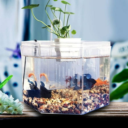 Aquarium Fish Tank Breeding Isolation Box Home Decor | Walmart Canada