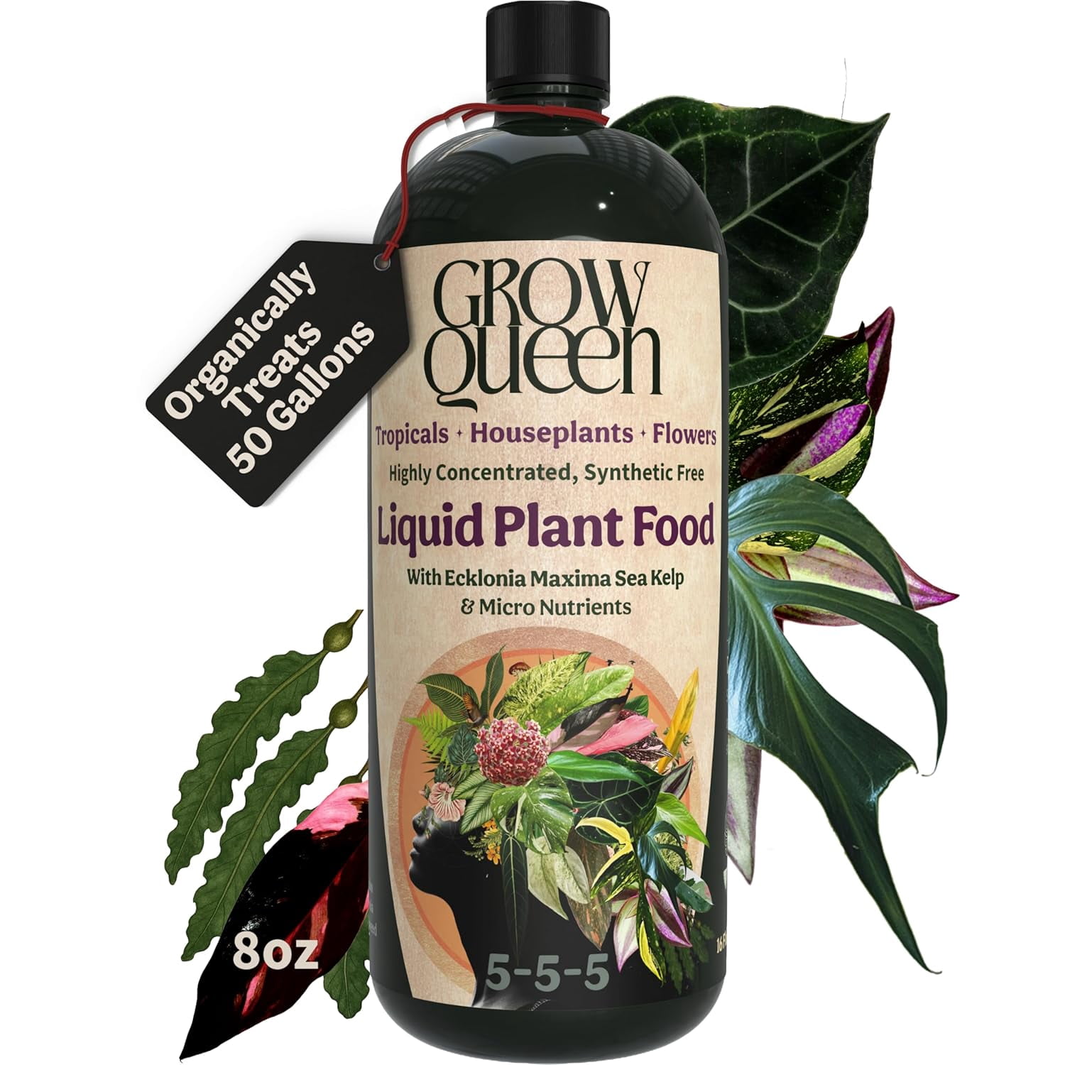 good plants for indoors low light Low-Light Duo Houseplants