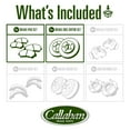 thumbnail image 4 of Callahan Brake Parts Front Brake Kit For Nissan 240SX 1996-1998, Nissan Sentra 2000-2006 [Model Specific] Replacement Brake Rotors with Ceramic Brake Pads, 4 of 4