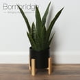 thumbnail image 2 of Bornbridge Artificial Snake Plant in Mid Century Plant Stand (Medium/ 1 Pack), 2 of 4