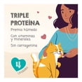 thumbnail image 3 of Premios para gato Meowee Savory Spoonables 4 pz, 3 of 6