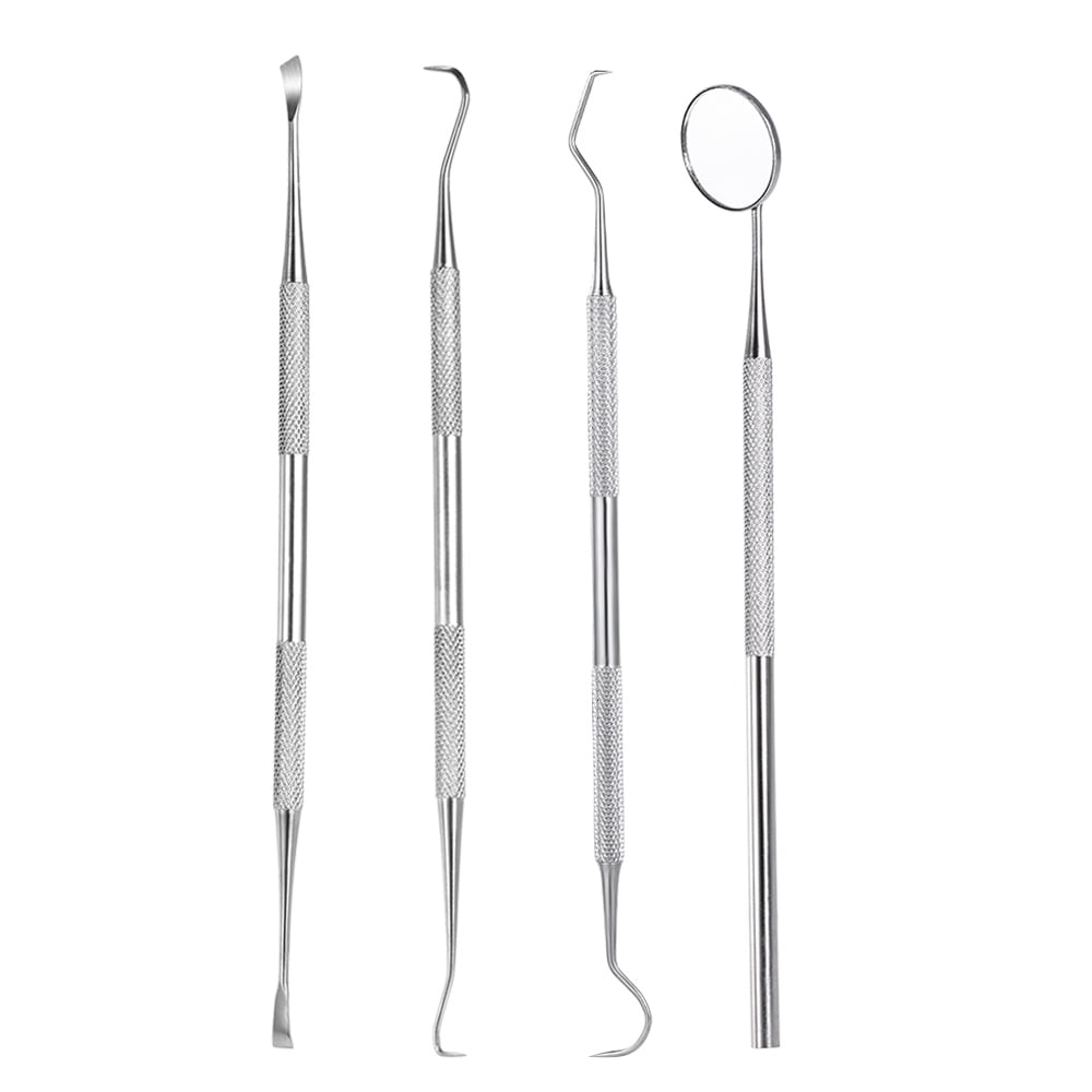 HEALLILY 1 Set Stainless Steel Tarter Scraper Scaling Remover Toothpick Set Calculus Tartar Removal Tool