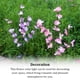thumbnail image 5 of Billuyoard Luz alimentada por energía Solar, flores de simulación, estaca para jardín, Patio, camino de césped, decoración, lámpara de Iluminación navideña Luz de colores, 5 of 6
