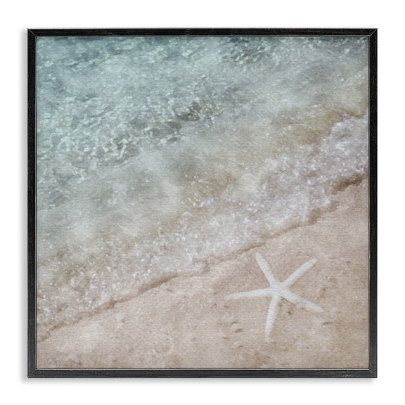 Stupell Industries Contemporary Starfish on Beach Coast Black Framed Giclee Art, 17 x 17, by LSR Design Studio