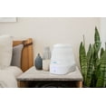 thumbnail image 4 of Crane x HALLS® Collapsible Cool Mist Humidifier, 3.5L/1 Gallon, White, 4 of 9