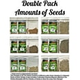 thumbnail image 4 of Lettuce & Salad Family Variety Seed Pack Over 44,000 Seeds! Non-GMO Heirloom Seeds for Planting The Perfect Indoor/Outdoor Garden, Arugula, Kale, Spinach & 3 Types of Delicious Lettuce., 4 of 4
