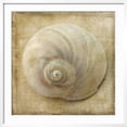 thumbnail image 2 of Art.com Sepia Shell VI Art Print by Judy Stalus, White Frame Wall Art, 29" x 29", 2 of 5