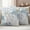 Haze blue, grayish green, variant on Brown Coastal Outdoor Waterproof Throw Pillow Covers 26x26 Set of 2, Teal Grey Sea Coral Starfish Nautical Decorative Pillowcases Cushion Pillowcase for Couch Sofa Patio Outside Pillow Protector