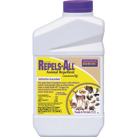 Bonide-Bonide Repels All 1 Qt. Concentrate Animal Repellent 2376 2376 705852
