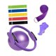 thumbnail image 3 of 9 pelotas de ejercicio de pilates, ideal como regalo para el hogar, bandas de resistencia, equipo de entrenamiento para tonificar la parte interna de Púrpura, 3 of 8