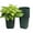 Green, variant on Cotta Planters 1 Gallon Nursery Pots 10-Pack 6 inch Plastic Planters Liners Greenhouse supplies
