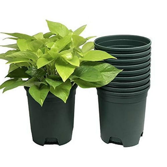 Cotta Planters 1 Gallon Nursery Pots 10-Pack 6 inch Plastic Planters Liners Greenhouse supplies, Green