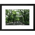 thumbnail image 2 of Central Park Mall Summer, Botanical Scenic Framed Art Print Wall Art by Robert Goldwitz Sold by Art.Com, 2 of 5