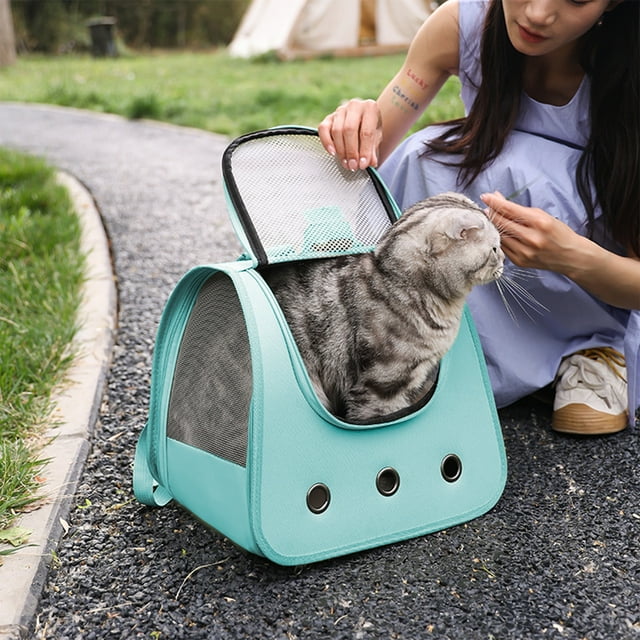 Cats Bag Foldable Breathable Cats Bag Backpack Cats Walking Backpack Portable Suitable For Walking Cats Outside