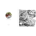thumbnail image 4 of Colouring Books: Angela Harding Colouring Book (Paperback), 4 of 6