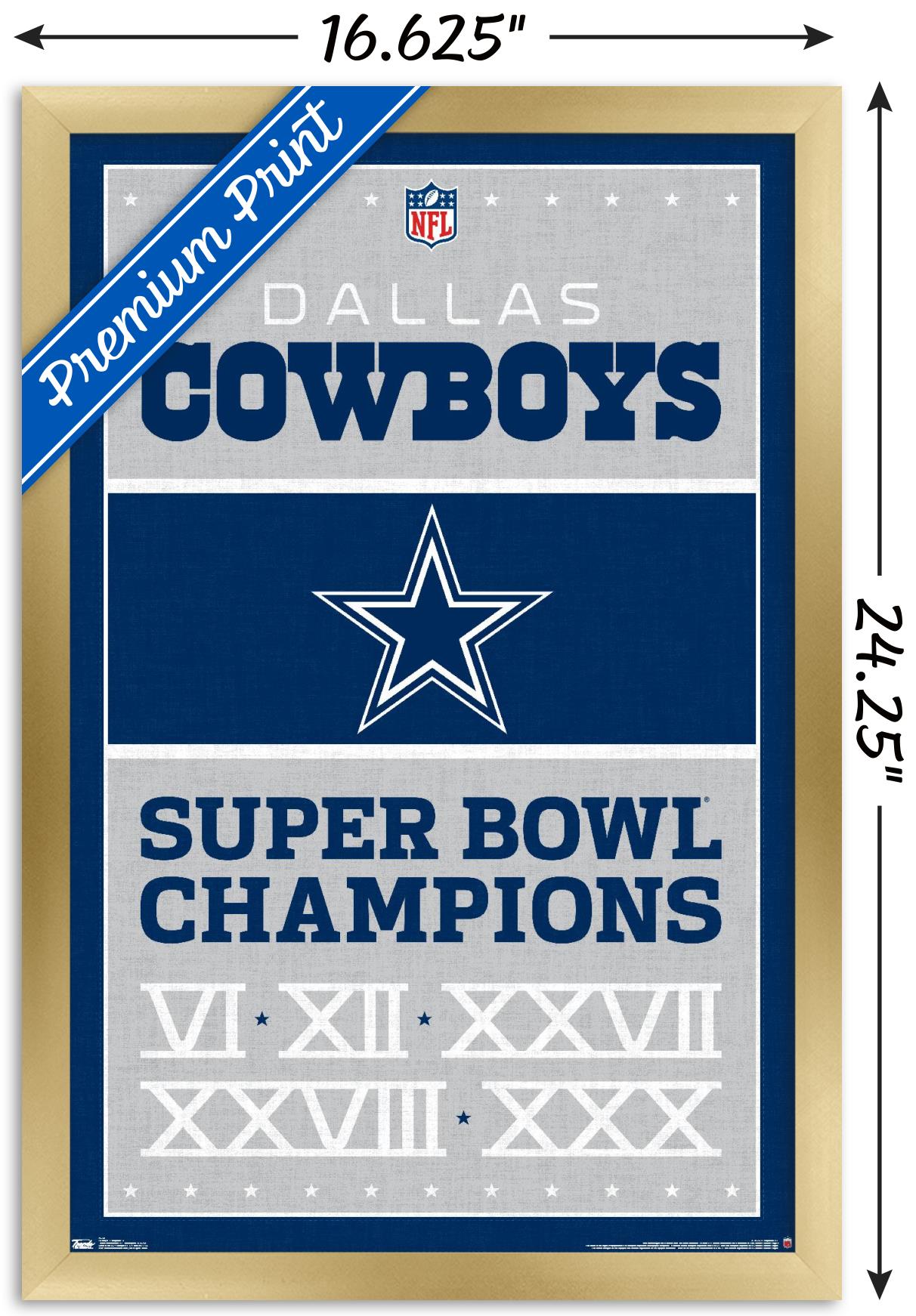 Dallas Cowboys Cowboys Pride Since 1960 NFL Team Theme Poster - Trends  International Inc.