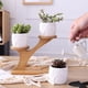 thumbnail image 5 of Cute Owl Pot Succulent Cactus Planter Flowerpot Set With Bamboo Shelf Tray Decor, 5 of 5