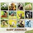thumbnail image 3 of EcoEarth 12 Month Vertical Wall Calendar, Baby Animals, 11" x 22", Jan 2026-Dec 2026, 3 of 7