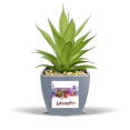 thumbnail image 1 of Britain City Watercolor Fake Pineapple Flower Pot Vase Mini Decor, 1 of 3