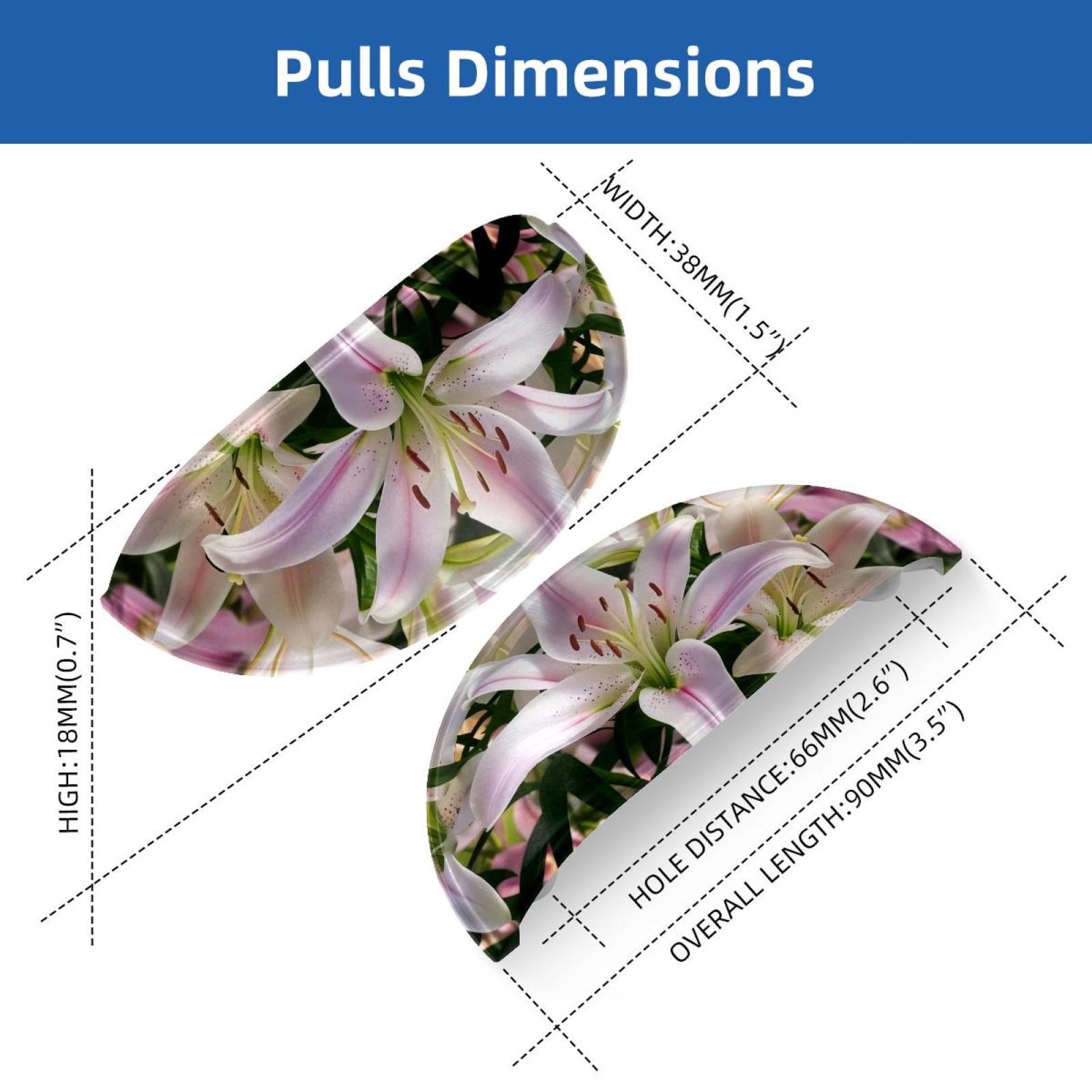 PhooArto 6 Pcs Cup Drawer Pulls, Lily Flowers Blooming Shell Shape Handles Cabinet Knobs for Dresser Cupboard Closet Wardrobe with Screws