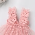 thumbnail image 6 of FYMNSI Baby Girls Layered Tulle Romper Dress Toddler Pink Tutu Princess Dresses with Floral Headband Birthday Outfits 18-24 Months, 6 of 9