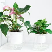 SPRING PARK Self Watering Planter, Violet Pots, Clear Plastic Automatic-Watering Planter Flower Pot Plant Pot for All House Plants, Succulents, Herb, African Violets