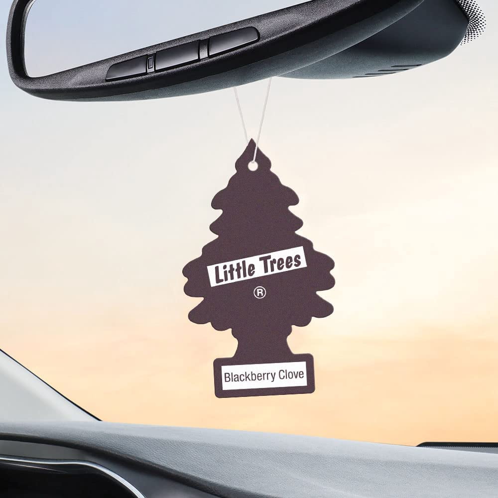 LITTLE TREES Car Air Freshener Hanging Tree Provides Long Lasting Scent for Auto or Home BLACK BERRY COVE Scent, 24 count