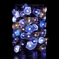 thumbnail image 3 of Cadena de luces LED de cristal marino blanco frío, impermeables, con enchufe USB, temporizador y control remoto para decoración festiva de playa, fiestas en dormitorios, interiores y exteriores, cumpl, 3 of 3