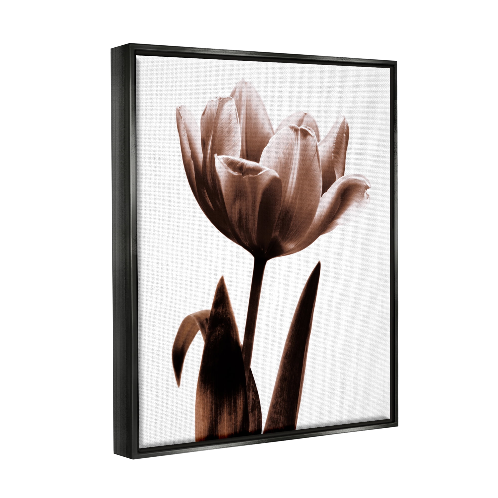 Stupell Blooming Tulip Silhouette Botanical & Floral Photography Black Floater Framed Art Print Wall Art