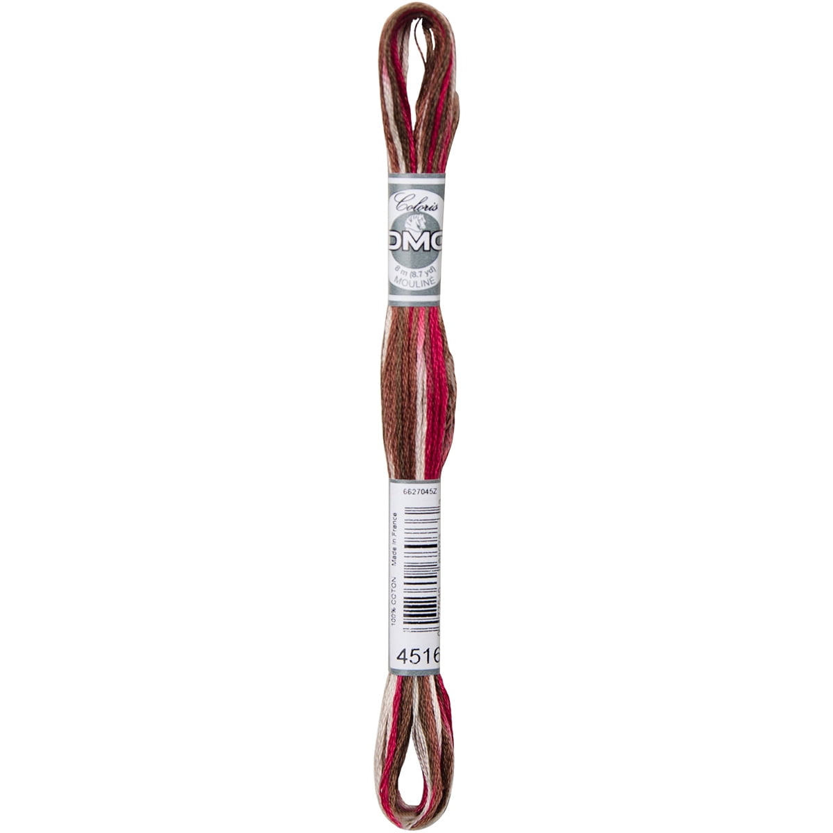 DMC Coloris 6-Strand Embroidery Cotton Floss 8.7yd-Black Forest