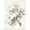 Unframed, variant on Art.com Oak Tree Study Stretched Canvas Print Wall Art, 18" x 24"