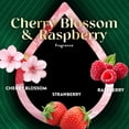 thumbnail image 5 of (6 pack) Air Wick Vibrant Plug-In Scented Oil Air Freshener Warmer Refills, Cherry Blossom and Raspberry, 3 Count, 5 of 10