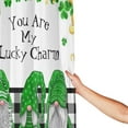 thumbnail image 3 of JOOCAR St.Patrick's Day Shower Curtain, Spring Cute Gnome Bathroom Shower Curtain, Falling Clovers Leaves with Green Elf on Black and White Buffalo Check Plaid Cloth Shower Curtain 72X72 inch, 3 of 6