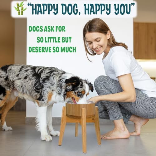 Raised Dog Bowl with Stand (12-inch) - Elevated Bamboo Food Bowl with Stainless Steel 304 Insert - Medium-to-Large Breeds Suitable