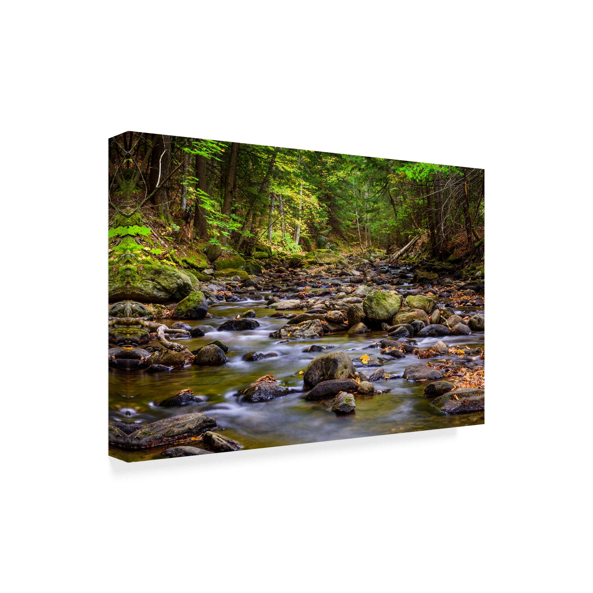 Trademark Fine Art 'Chase Brook 1' Canvas Art by Brenda Petrella Photography Llc