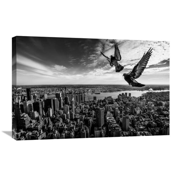 Global Gallery Sergiosousa,'Pigeons On The Empire State Building' Stretched Canvas Artwork