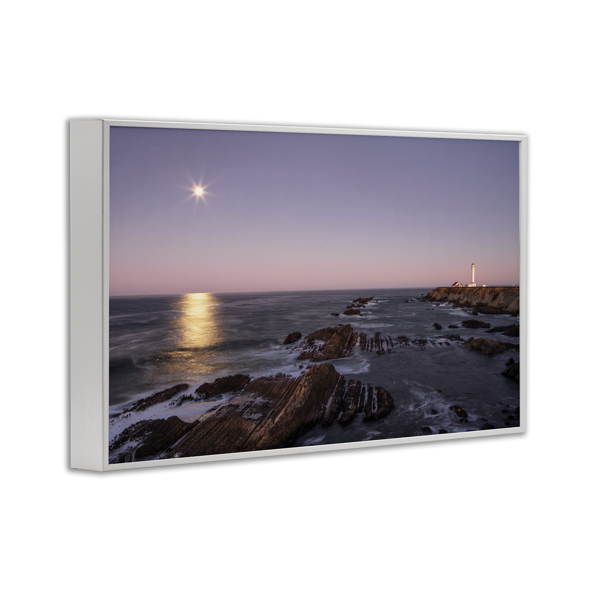 Stupell Industries Moon Arena Coastline White Framed Giclee Art, design by Shelley Carlisle