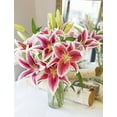 thumbnail image 3 of KaBloom : Bouquet of Fresh 8 Stargazer Lilies, Next-Day Delivery, Gift for all occasions, 3 of 5
