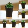 thumbnail image 4 of Gwong Decoración hogareña 1 Set Simulation Bonsai Anti-Fading Aftiles a prueba de golpes Faux Suculenta Plantas Potted Decoración de escritorio Gwong 21082696, 4 of 6