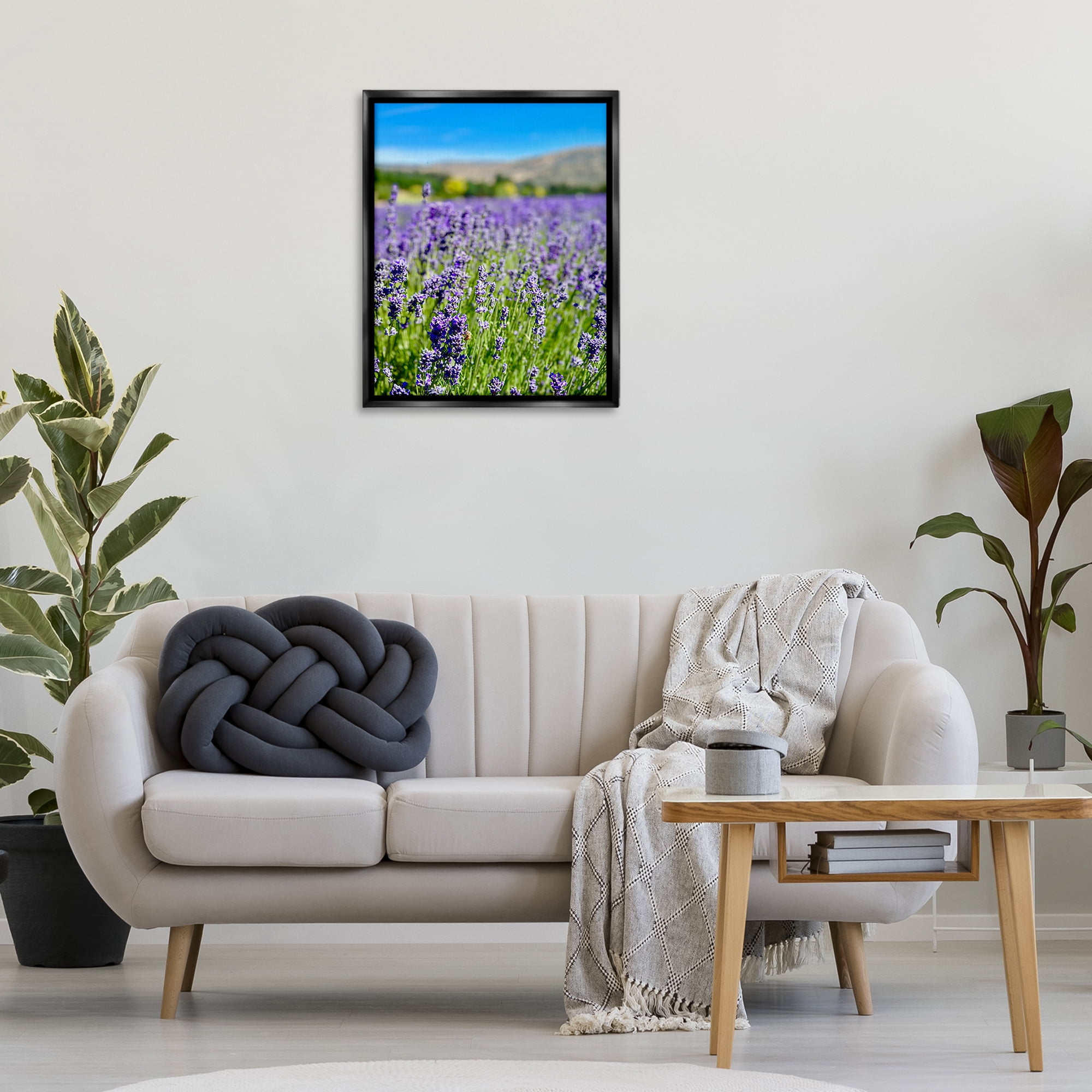 Stupell Industries Lavender in the Wind Landscape Photography Black Floater Framed Art Print Wall Art, 25 x 31