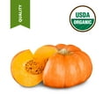 thumbnail image 2 of 1 Gallon Pure Organic Unrefined Virgin Pumpkin seed oil cold pressed, 2 of 2