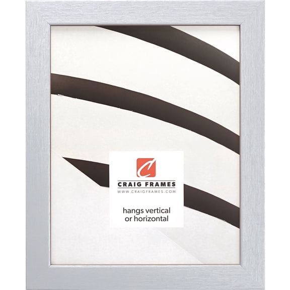 Craig Frames Essentials, 20x28 inch Picture Frame, Brushed Silver