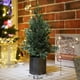 thumbnail image 2 of Black Árbol de Navidad artificial flocado, árbol de Navidad de cedro de escritorio, decoraciones navideñas de interior, 2 of 5