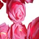 thumbnail image 2 of Xihbxyly Artículos En Liquidación Por Menos de 10 Dólares Hermoso Ramo de Rosas con Usb, Luces Led para Árbol, Decoración para Fiestas, Bodas, El Hogar, Regalo, 2 of 2